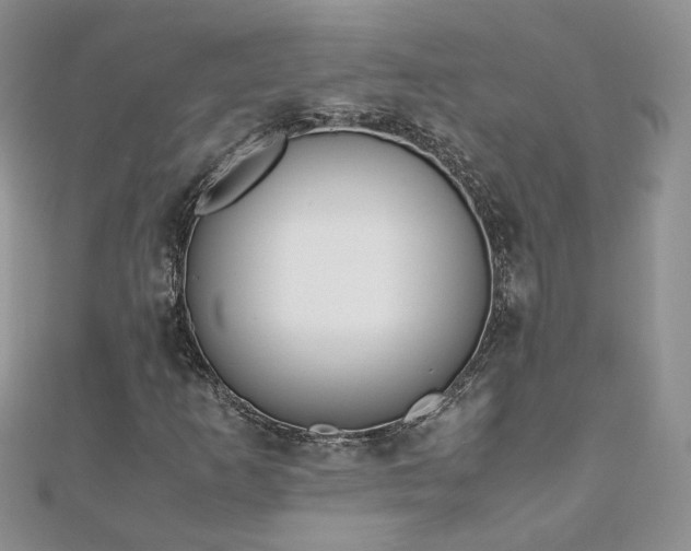 X0000110911253200906181336