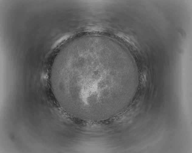 X0000110911254200906181335