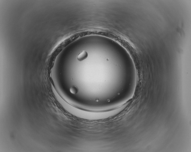 X0000110911256200906181335