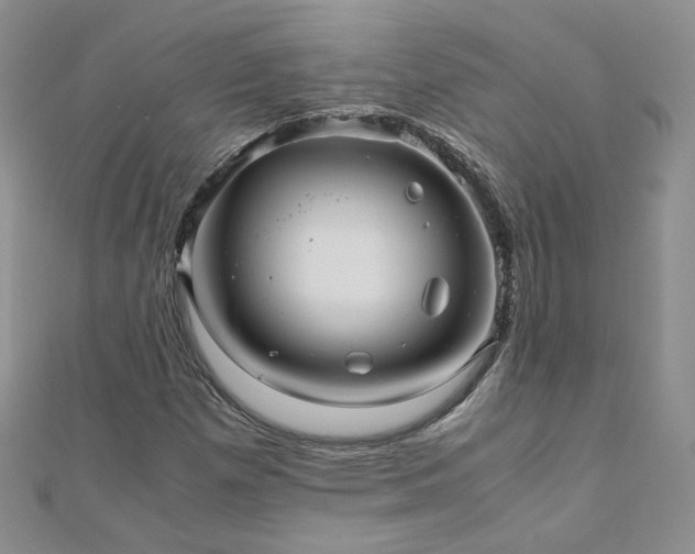 X0000110911257200906181335