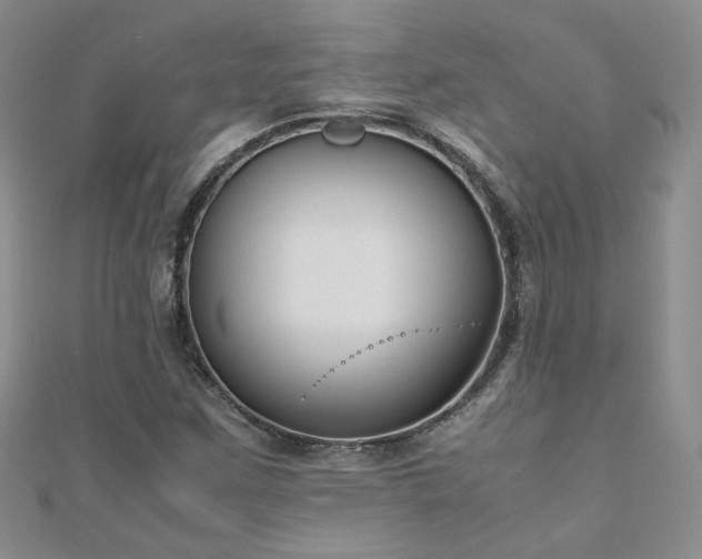 X0000110911259200906181335