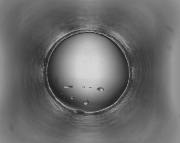 X0000110911260200906181335