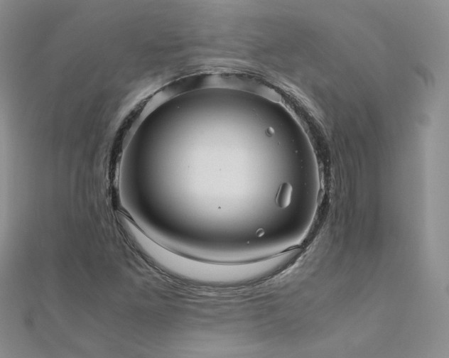 X0000110911261200906181335