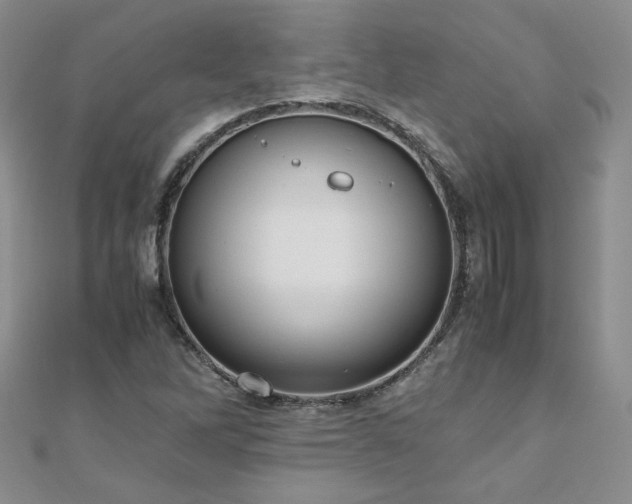 X0000110911262200906181335