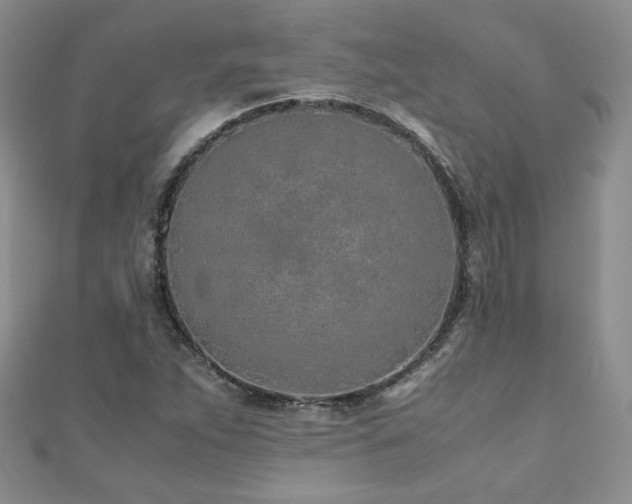 X0000110911263200906181335