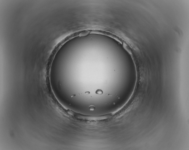 X0000110911264200906181335