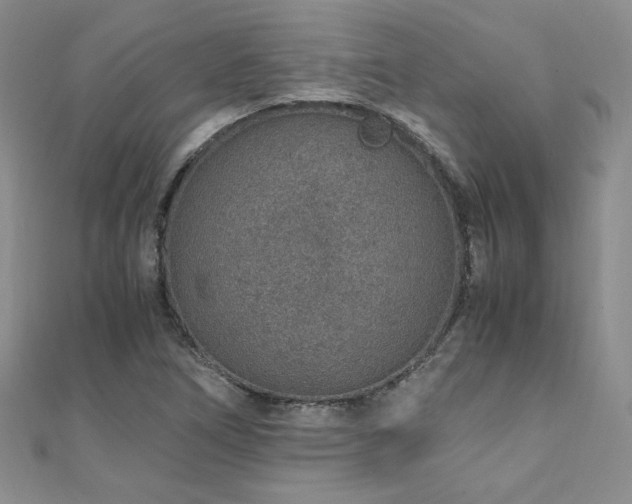 X0000110911266200906181335