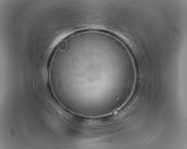 X0000110911271200906181335