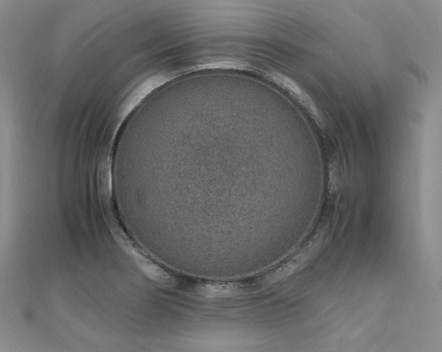 X0000110911274200906181335