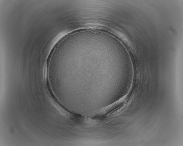 X0000110911275200906181335