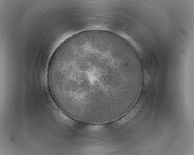 X0000110911278200906181335