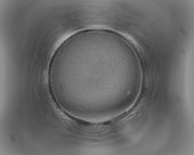 X0000110911279200906181335