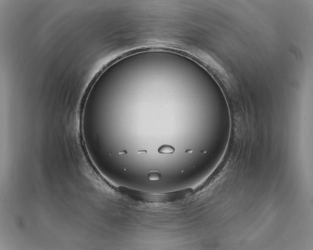 X0000110911280200906181335