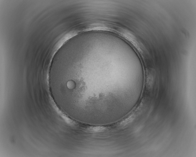 X0000110911282200906181335