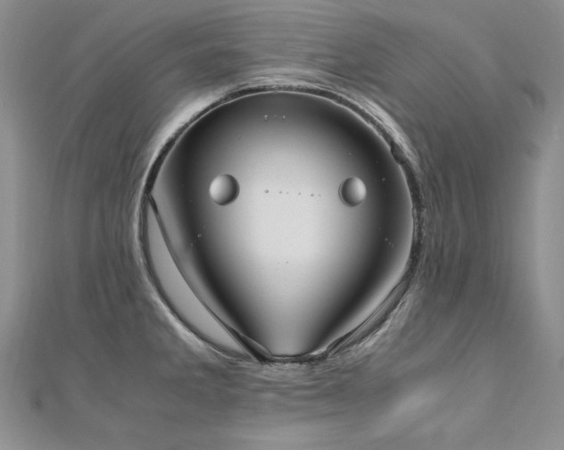 X0000110911285200906181335