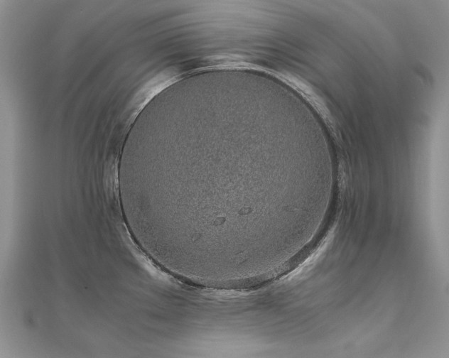 X0000110911289200906181335