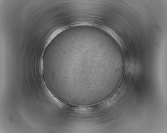 X0000110911290200906181335