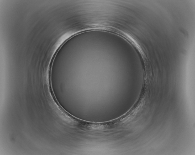 X0000110911291200906181335