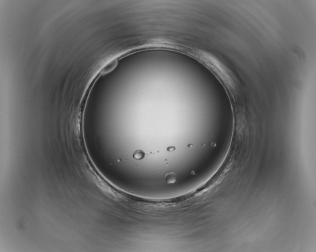 X0000110911292200906181335