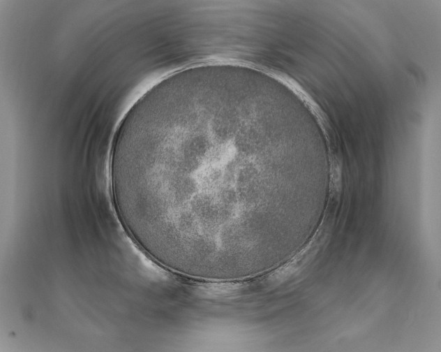 X0000110911294200906181335