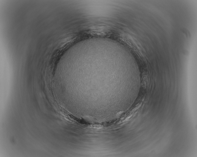 X0000110911297200906181334