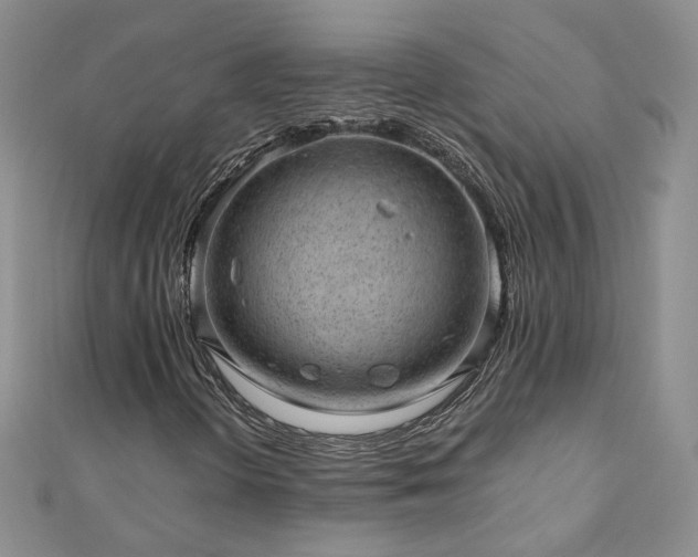 X0000110911298200906181334