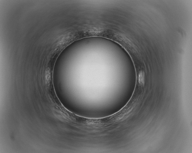 X0000110911299200906181334