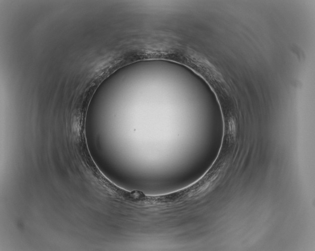 X0000110911300200906181334