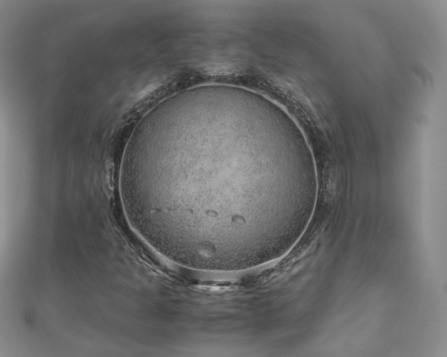 X0000110911301200906181334