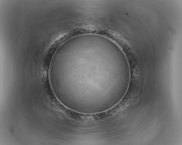 X0000110911302200906181334