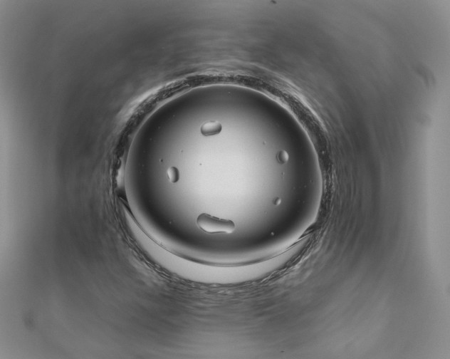 X0000110911304200906181334