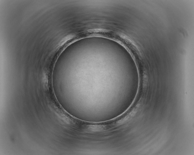 X0000110911305200906181334