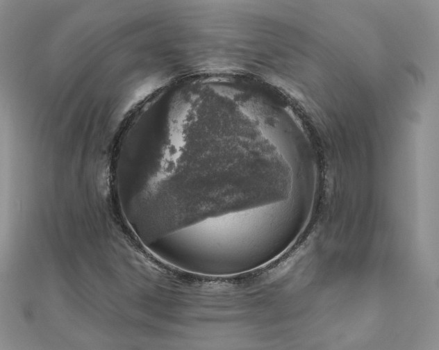 X0000110911306200906181334