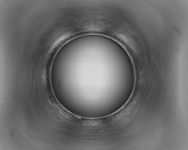 X0000110911307200906181334