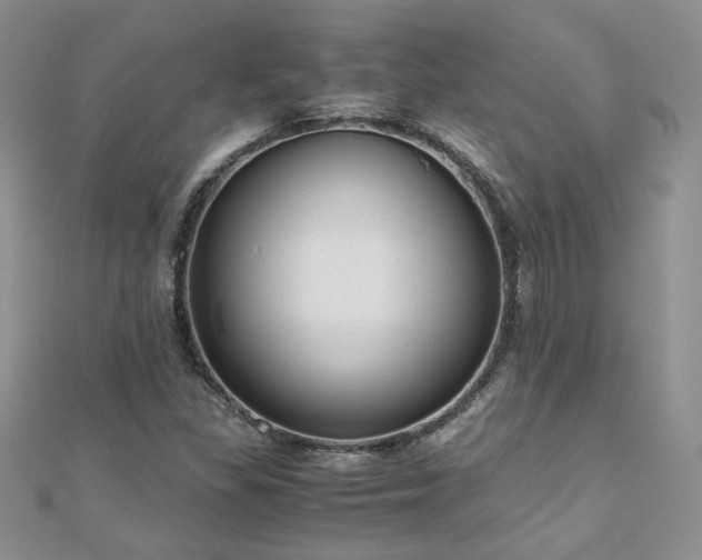 X0000110911309200906181334