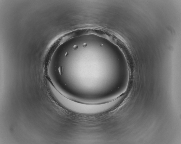 X0000110911310200906181335