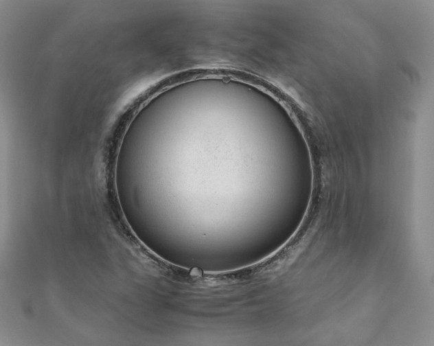 X0000110911311200906181335