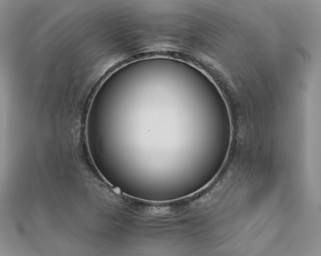 X0000110911313200906181335