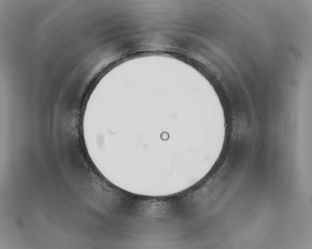 X0000110911314200906181335