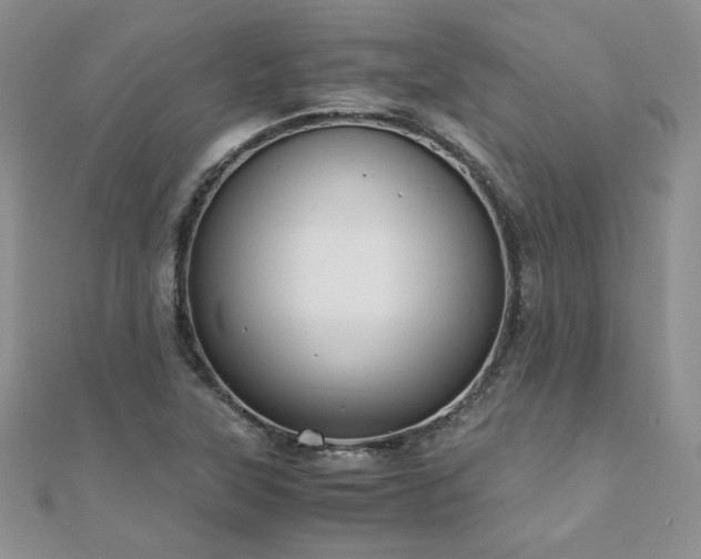 X0000110911315200906181335