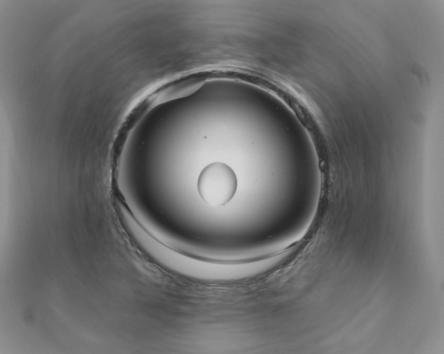 X0000110911316200906181335