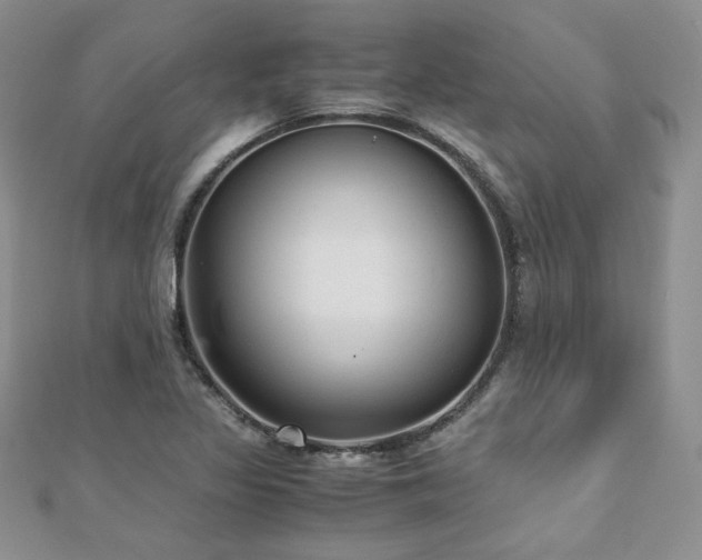 X0000110911317200906181335