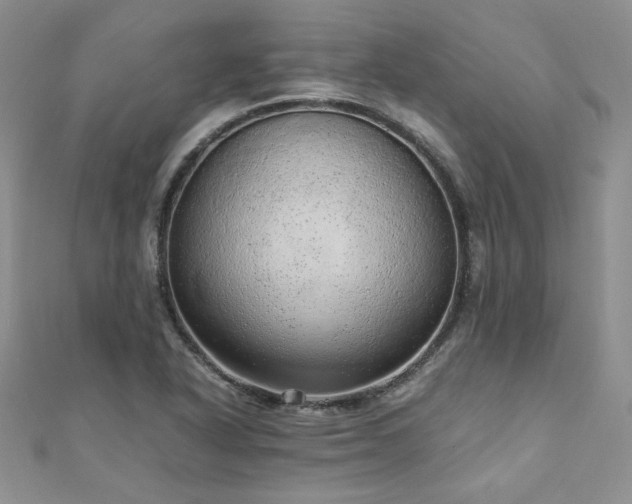 X0000110911318200906181335