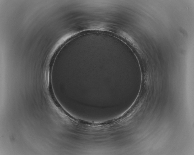 X0000110911323200906181335