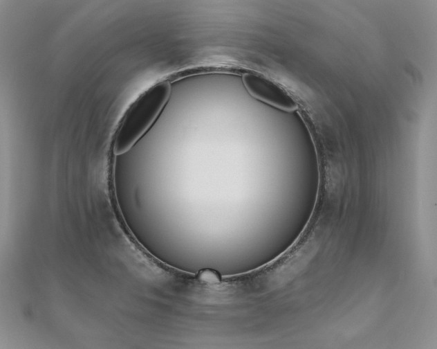 X0000110911326200906181335