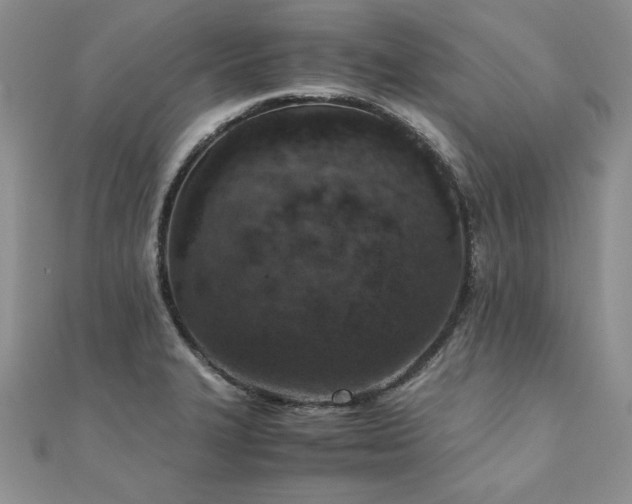 X0000110911327200906181335