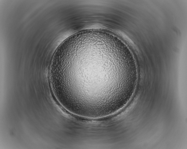 X0000110911329200906181335