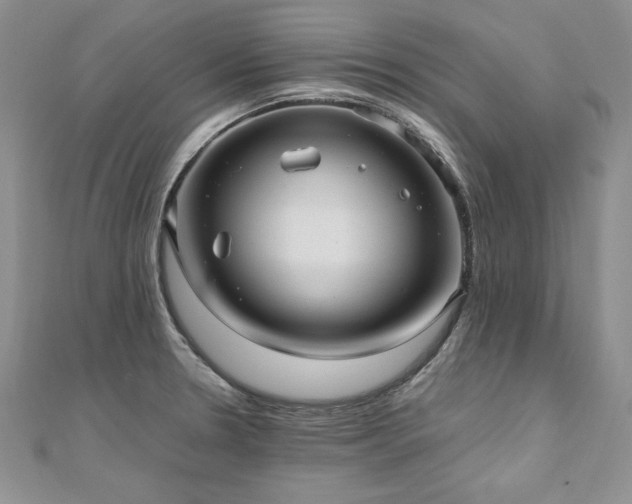 X0000110911330200906181335