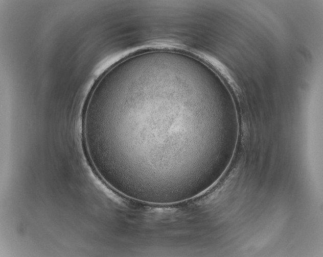 X0000110911335200906181335