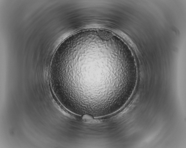 X0000110911337200906181335